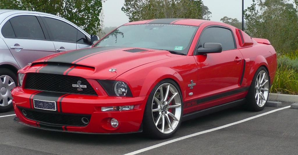 shelbySS 1