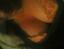 post-6771-1150113026_thumb.jpg